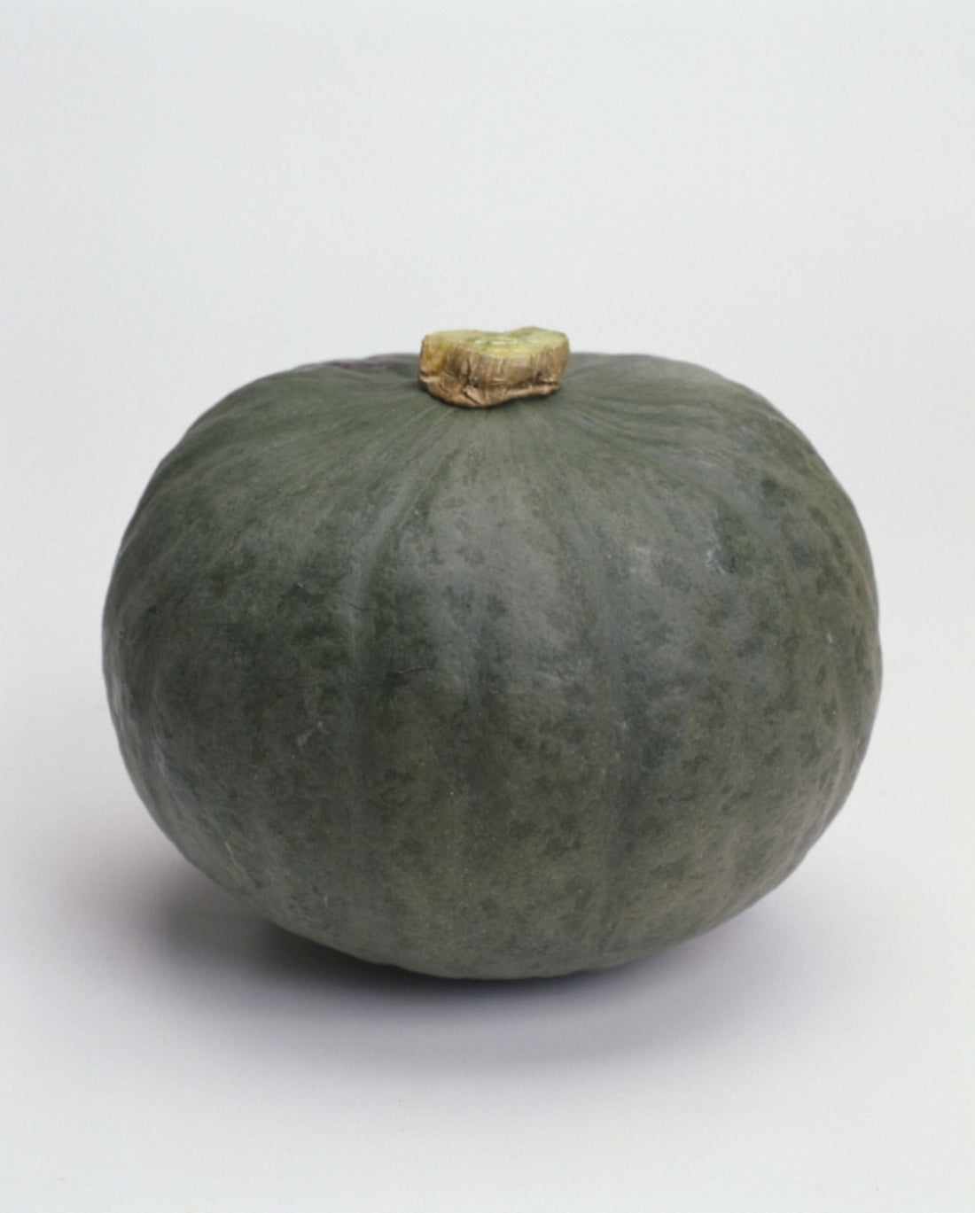 Squash Blue Kuri – MoreVeg Seeds