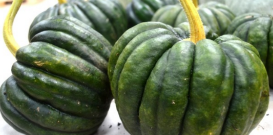 Squash Black Futsu