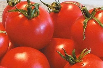 picture of Tomato Glacier