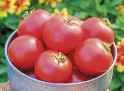 Tomato Crimson Crush F1