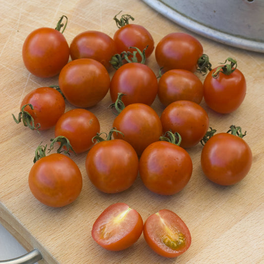 Tomato Koralik