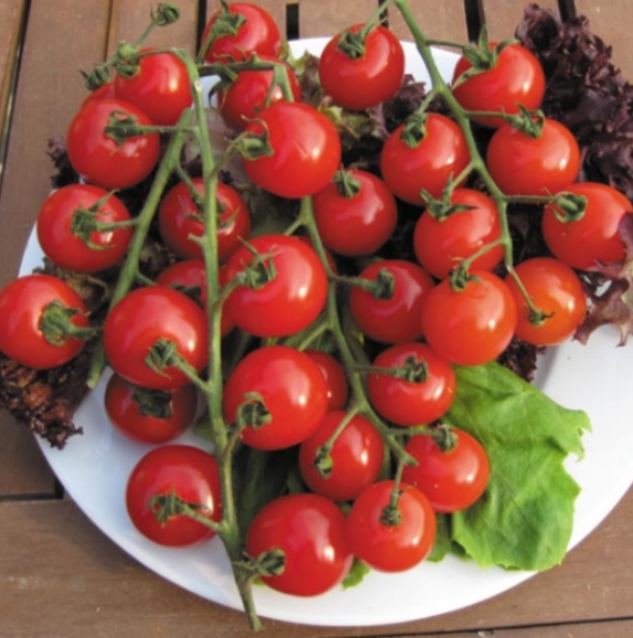Tomato Sweet Million F1