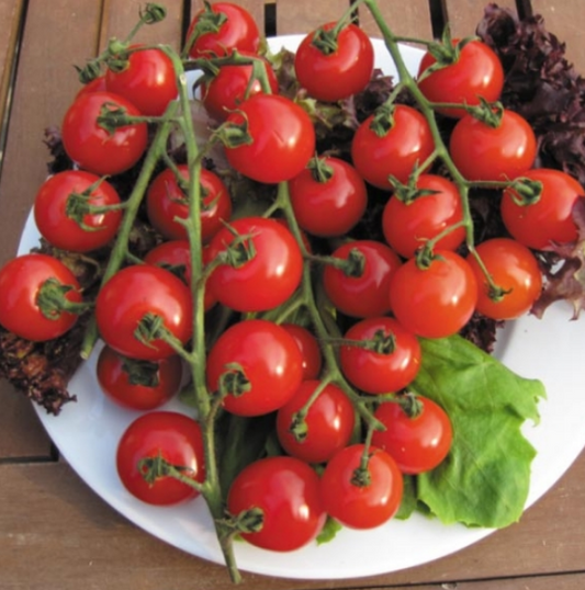Tomato Sweet Million F1