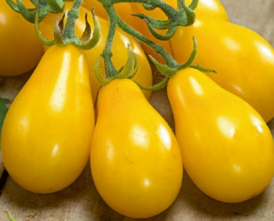 Tomato Yellow Pear