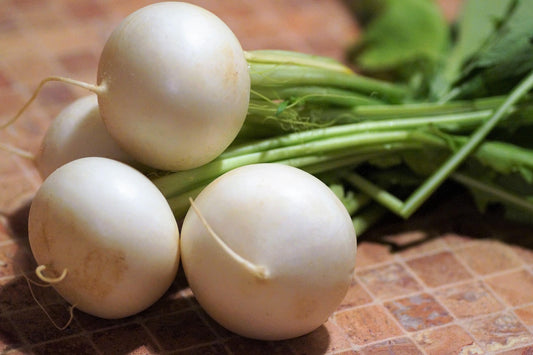 Turnip Tokyo Cross F1