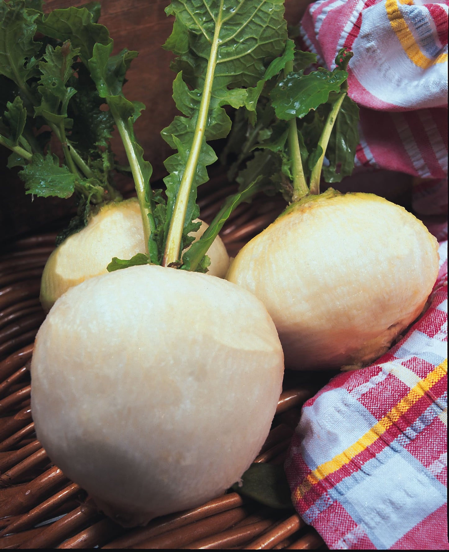 Turnip Snowball