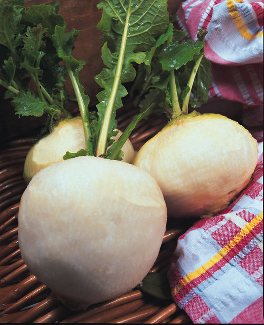 Turnip Snowball